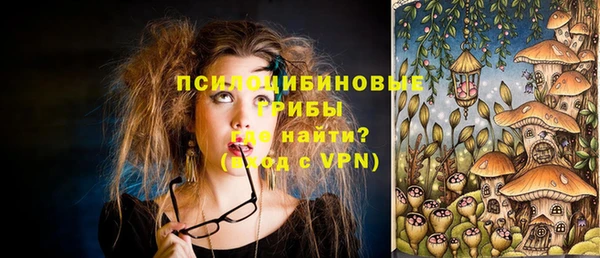 ГАЛЛЮЦИНОГЕННЫЕ ГРИБЫ Зеленодольск