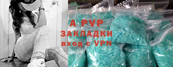 индика Зеленокумск