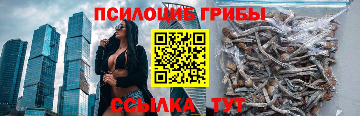 Псилоцибиновые грибы Psilocybine cubensis  Вход с VPN  Карасук 