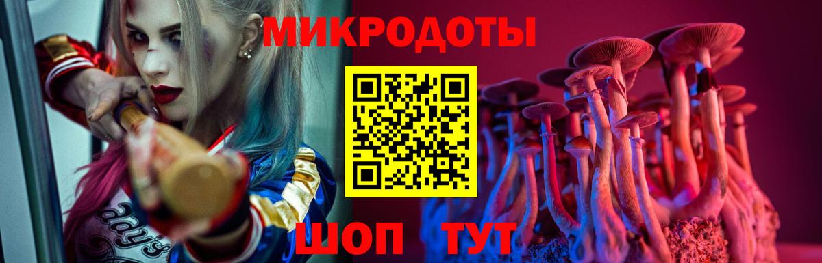 Псилоцибиновые грибы MAGIC MUSHROOMS Карасук